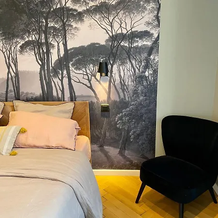 Apartment Le Cathedral View - Centre Historique - Parking Prive Gratuit Colmar