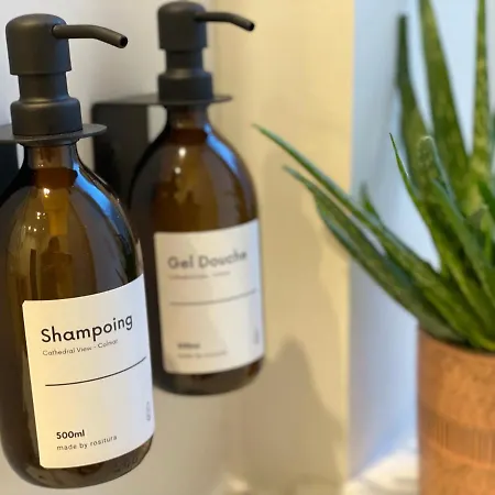 Apartment Le Cathedral View - Centre Historique - Parking Prive Gratuit *