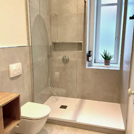 Le Cathedral View - Centre Historique - Parking Prive Gratuit Colmar