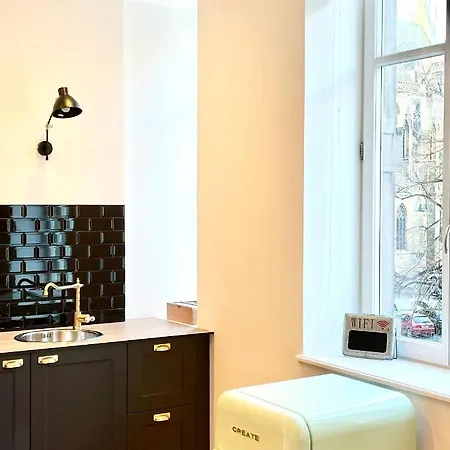 Le Cathedral View - Centre Historique - Parking Prive Gratuit Apartment Colmar