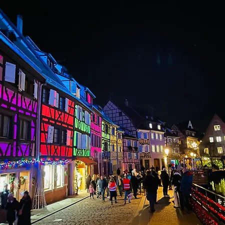Le Cathedral View - Centre Historique - Parking Prive Gratuit Colmar