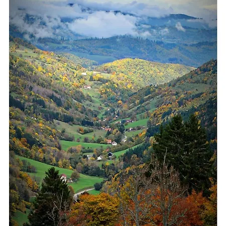 Le Cathedral View - Centre Historique - Parking Prive Gratuit Апартаменты *