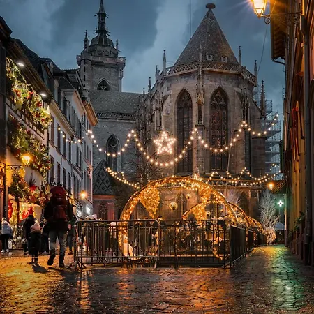 Apartment Le Cathedral View - Centre Historique - Parking Prive Gratuit Colmar