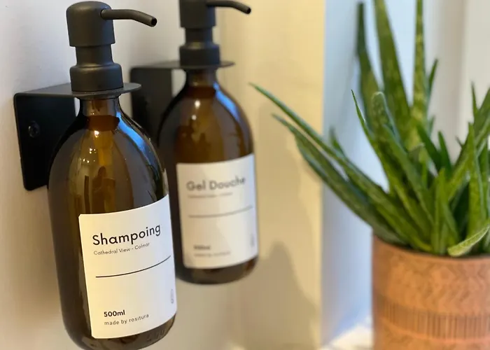 公寓 Le Cathedral View - Centre Historique - Parking Prive Gratuit *