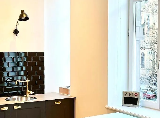 Le Cathedral View - Centre Historique - Parking Prive Gratuit Appartement Colmar