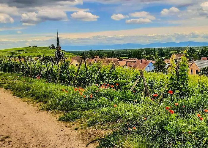 Le Cathedral View - Centre Historique - Parking Prive Gratuit *