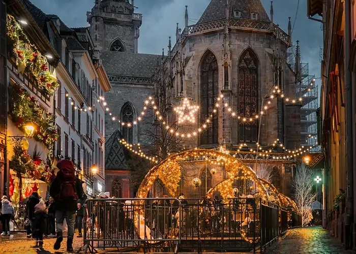 Appartement Le Cathedral View - Centre Historique - Parking Prive Gratuit Colmar